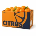Mandarina Tango | CAT #1 X | Citrus® | Perú | C-CTN ±10Kg