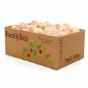 Durazno Snow White | C#56's | FamilyTree Farms®| California | C-CTN ±11.34KG - 25lb