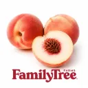 Durazno Yellow Flesh | Farmer's Market® | California | GRL      