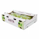 Uva Sweet Globe | IFG Ten | VISTA® | California | C-CTN ±8.6KG - 19lb