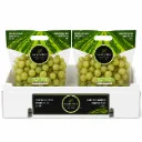 Uva Timpson™ | SH-21 | #X | Samsons® | California | C-UNC ±8.6.KG - 19lb