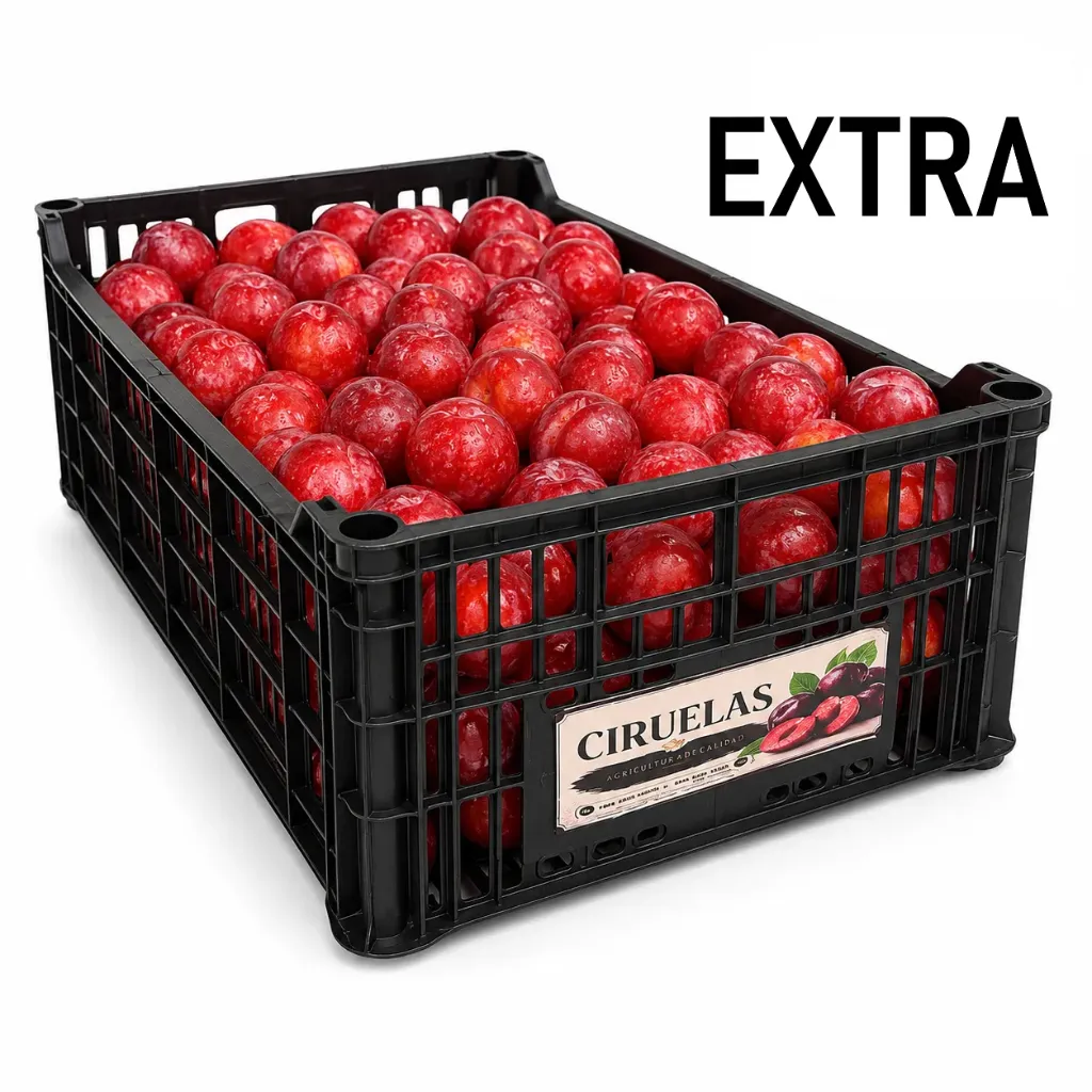 Ciruela Mariela's | #EXTRA | Zacatecas | C-PLS ±10Kg