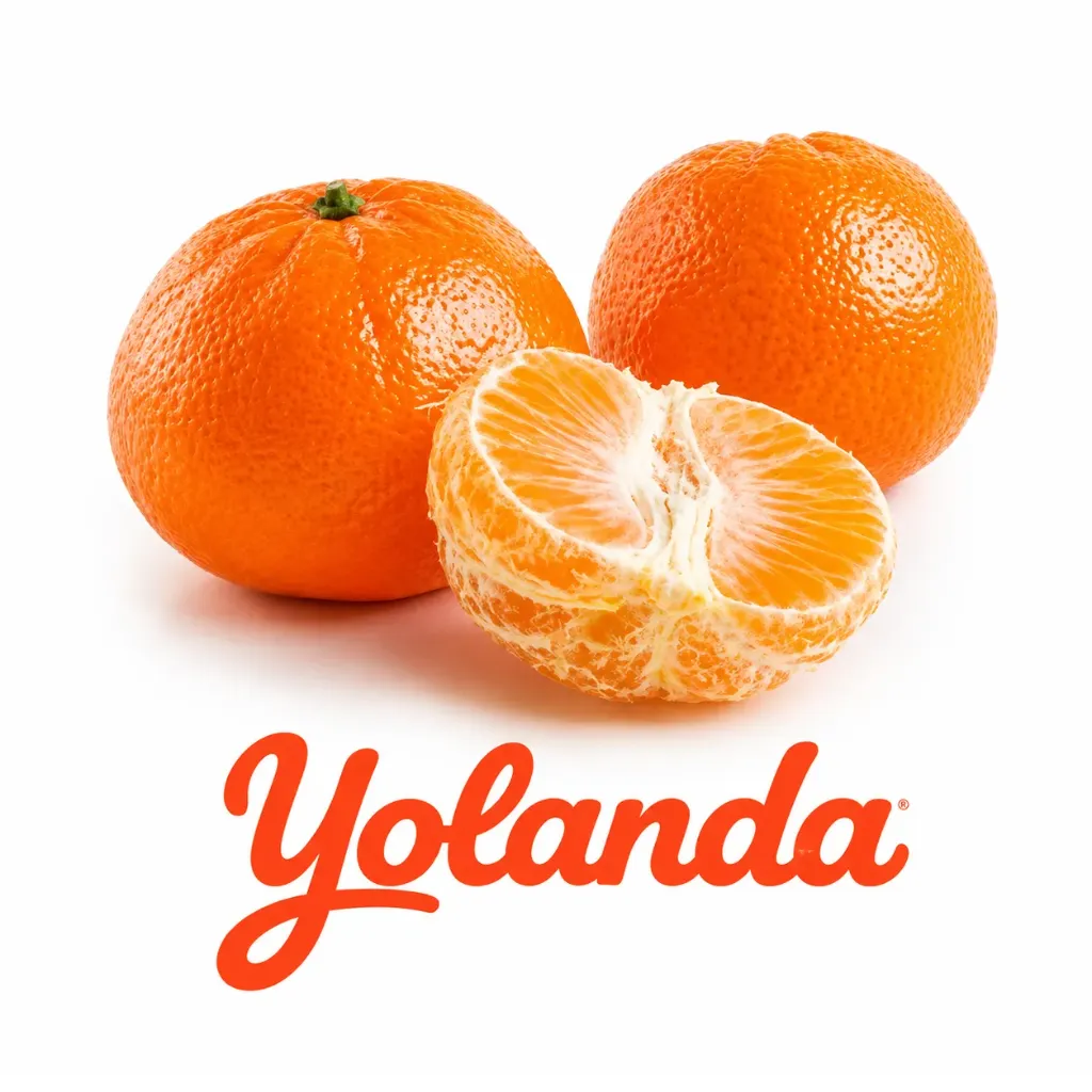 Mandarina Tango | CAT.1 | C #2 | Yolanda® | Perú | GRL