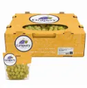 Uva Ivory™ | SH-21  | Grapery® | California | C-CTN ±8.6kg - 19Lb