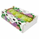 Uva Ivory™ | SH-21  | Generic | California | C-CTN ±8.6kg - 19Lb