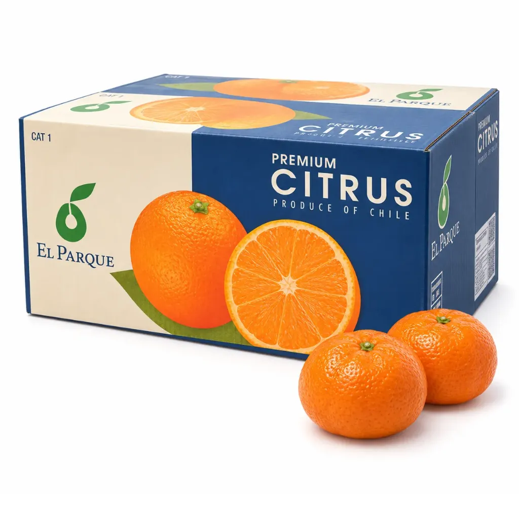 Mandarina Murcott | CAT.1 | C #1X | ® | Perú | C-CTN ±10Kg (copia)
