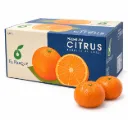 Mandarina Murcott | CAT.1 | C #1X | ® | Perú | C-CTN ±10Kg (copia)