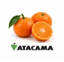 Mandarina Tango | CAT.1 | C #X | Atacama® | Chile | GRL