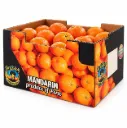 Mandarina Murcott | CAT.1 | C #2X | La Chilca® | Perú | C-CTN ±10Kg