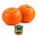 Mandarina Murcott | CAT.1 | C #2X | La Chilca® | Perú |  GRL