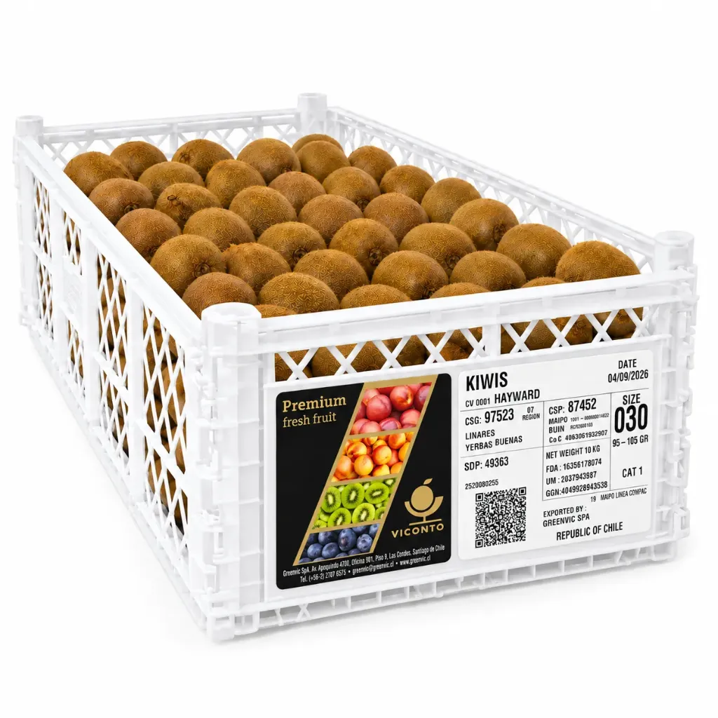 Kiwi Hayward | CAT 1 | #30's | Viconto® | Chile | C-CTN ±10Kg