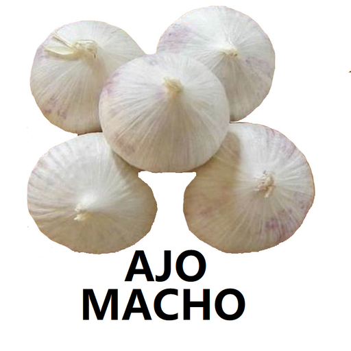 Ajo Macho (Solo Garlic-Garlic One Clove)  |  Morelos                                                                               