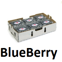 Blueberry  | Guanajuato | CTN-BOX 12 Clamshells 6Oz-170Gr                                                                   