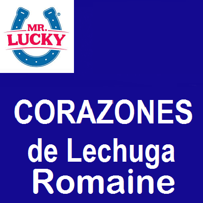 Corazones de Lechuga | Mr. Lucky ® | Guanajuato |  C-CTN #12's                                                                             