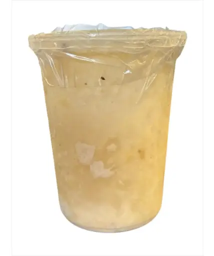 Guanábana Congelada | Pulpa Natural | Nayarit | 1 LT                                                                      