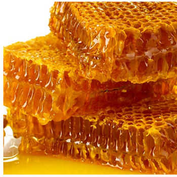 [PEMI3] Miel de Abeja en Penca | Floración: Cítricos | Bastidor |  Jalisco                                                                               