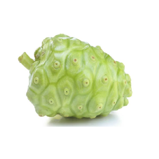 Noni | Tuna De La India | Nayarit | GRL                                                                               