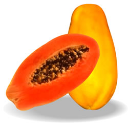 Papaya Maradol  |  Michoacán | GRL                                                                               