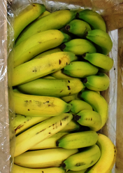 Cavendish Bananas | Colima | WD BX ±17.5Kg-38.5Lb                                                                              