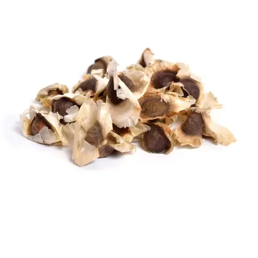 Semilla De  Moringa Oleífera | Michoacán | GRL                                                                             