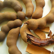 Tamarindo Selecto | Colima 204  | G-M |  Jalisco                                                                               
