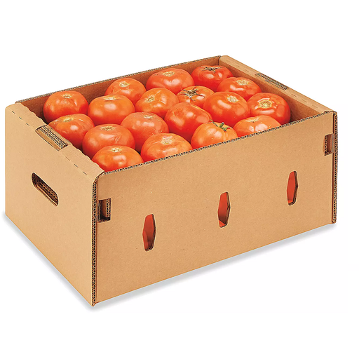 Tomatoe (var. Momotaro) | Guanajuato | 4X5 | CTN-BOX ±22LB                                                                             