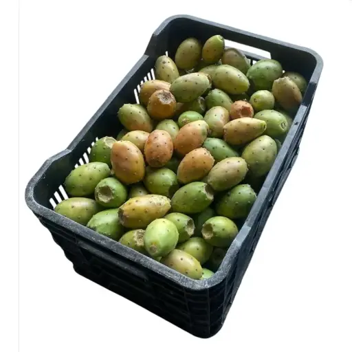 Tuna Amarilla | Zacatecas | C-PLS ±17Kg