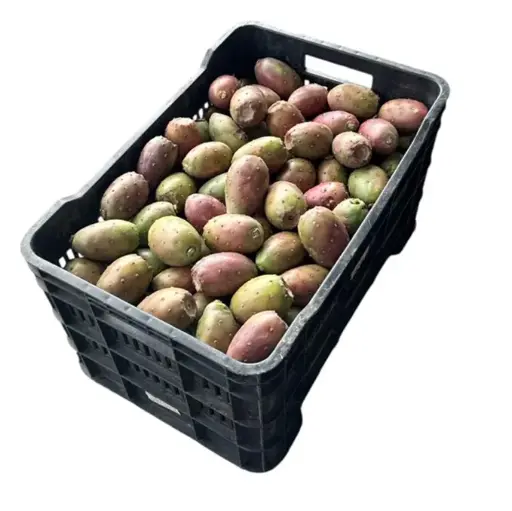 Tuna Roja Lisa |  Zacatecas |  C-CTN ±20Kg                                                                               