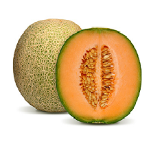Melón Cantalupo (Chino) | Coahuila | GRL                                                                             