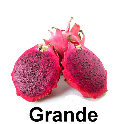 Pitahaya Roja | #G | Dragon Fruit | Guanajuato                                                                                  