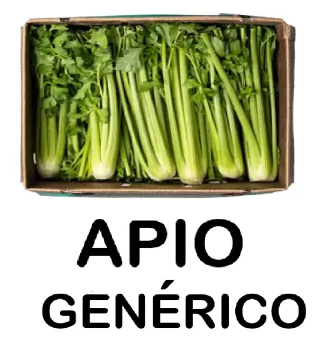 Apio Entero | S/H | Generic | Guanajuato | C-CTN #24's  