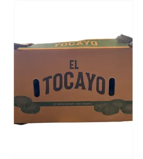 Pepino Americano | Tocayo® | Sinaloa |  C-CTN ±24Kg                                                                           