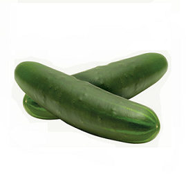 Pepino Americano | P.Inv. | Tocayo | Sinaloa | GRL                                                                                