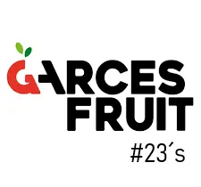 Kiwi Hayward | CAT 1 | #23's | Garces Fruit®| Chile | C-CTN ±10Kg                                                                              