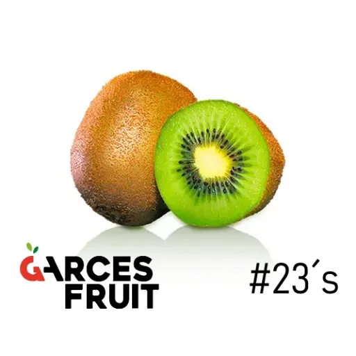 Kiwi Hayward | CAT 1 | #23's | Garces Fruit®| Chile | GNL                                                                            