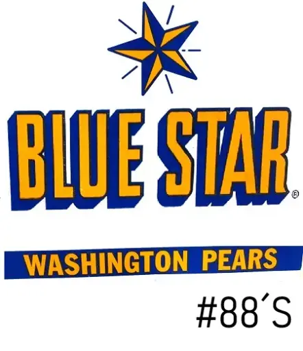 Manzana Royal Gala | #88's WXF | Blue Star® | Washington | C-CTN±18KG  