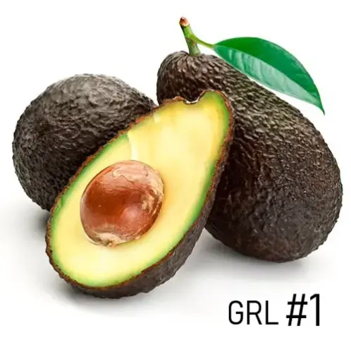 Aguacate Hass | # 1° | Michoacán | GRL 